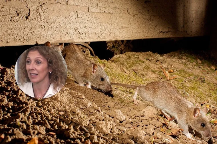 LA DOCTORA MARTA SANTI EN LA MAÑANA DE 90 RADIO