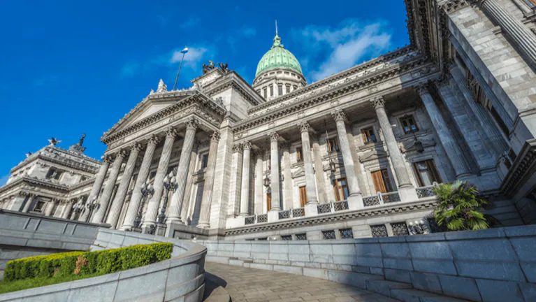 Un diputado pidió un rifle por Internet, se lo enviaron al Congreso y encendió las alarmas: la aclar