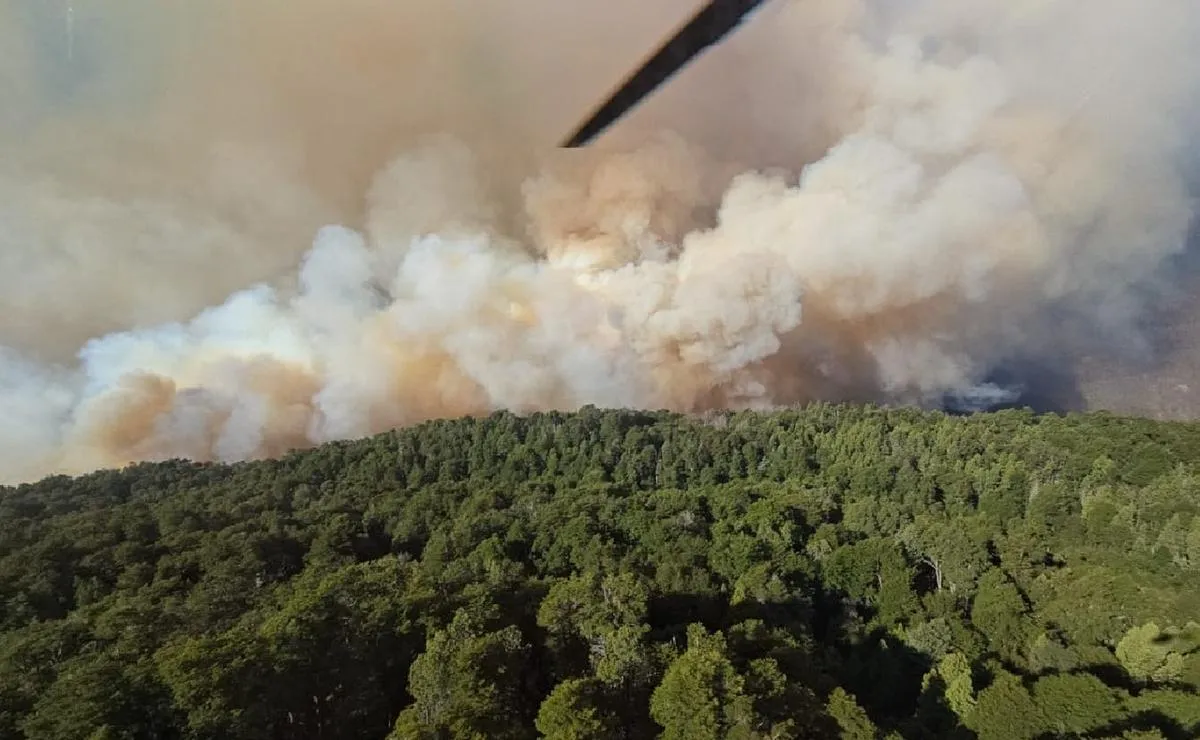 Incendio en el Parque Nacional Nahuel Huapi: ya ardieron más de 1.800 hectáreas